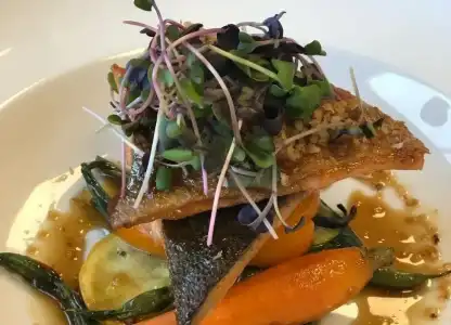 Dinner Plated