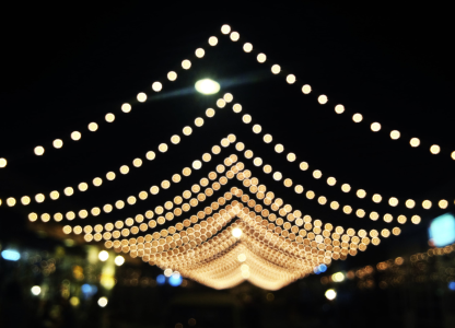 Edison Lights