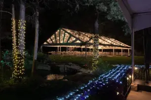 Clear Top Tents