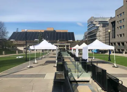 Festival Tents